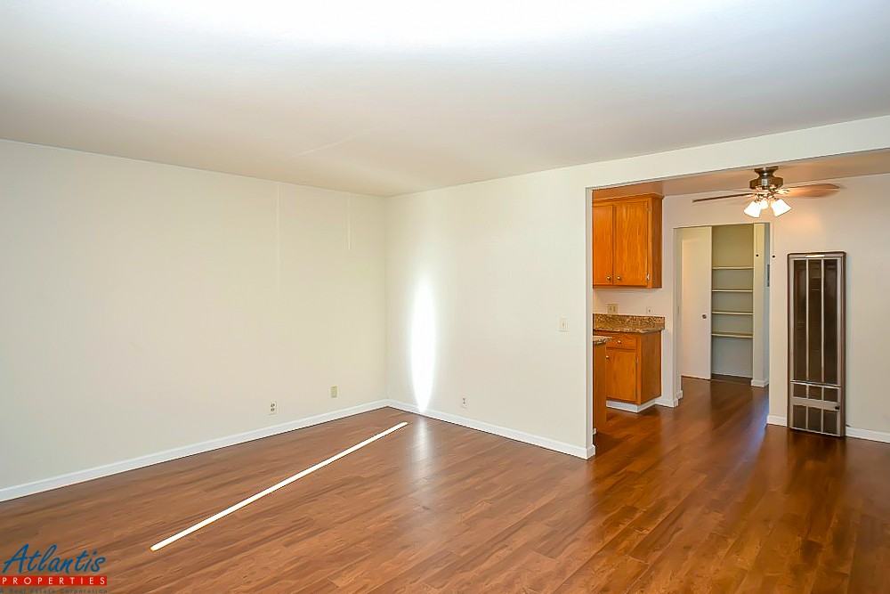 Selwyn - Photo 2 of 7