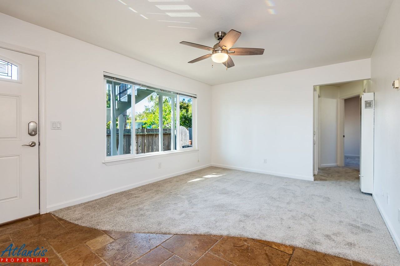 Darwin - Photo 3 of 16