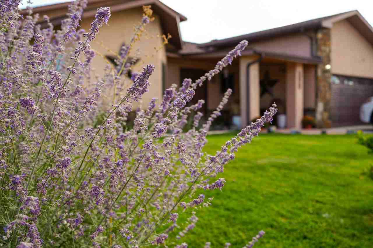 1109 E 36th St - Photo 2 of 30