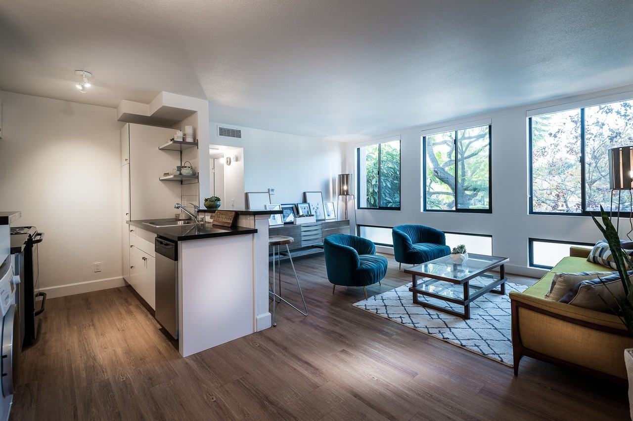 Moxie + Clover - Photo 3 of 50