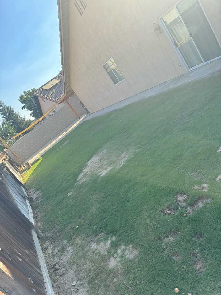 268 Burns Ct #NA - Photo 6 of 10