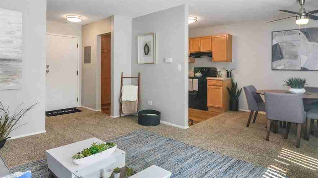 ReNew Aurora - Photo 3 of 39