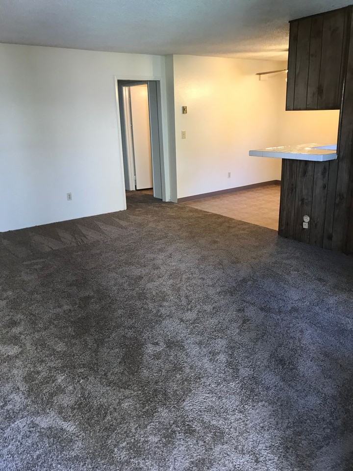 CASA - Photo 3 of 19