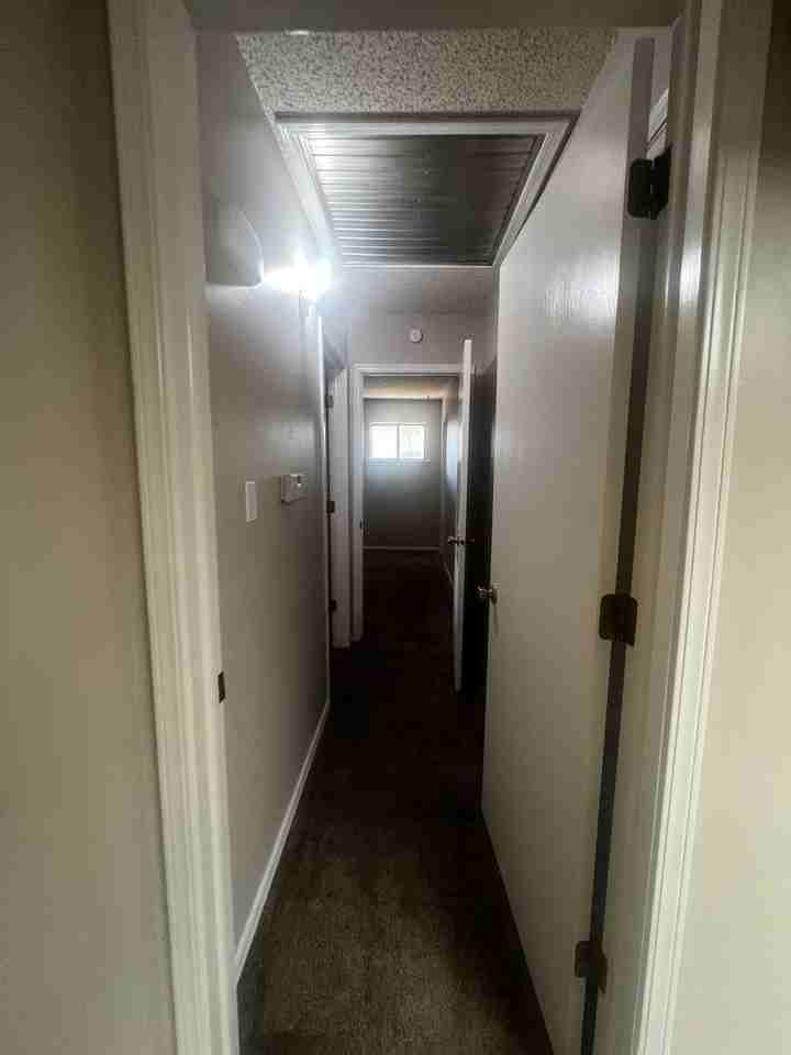 4802 Skywood Dr - Photo 5 of 10