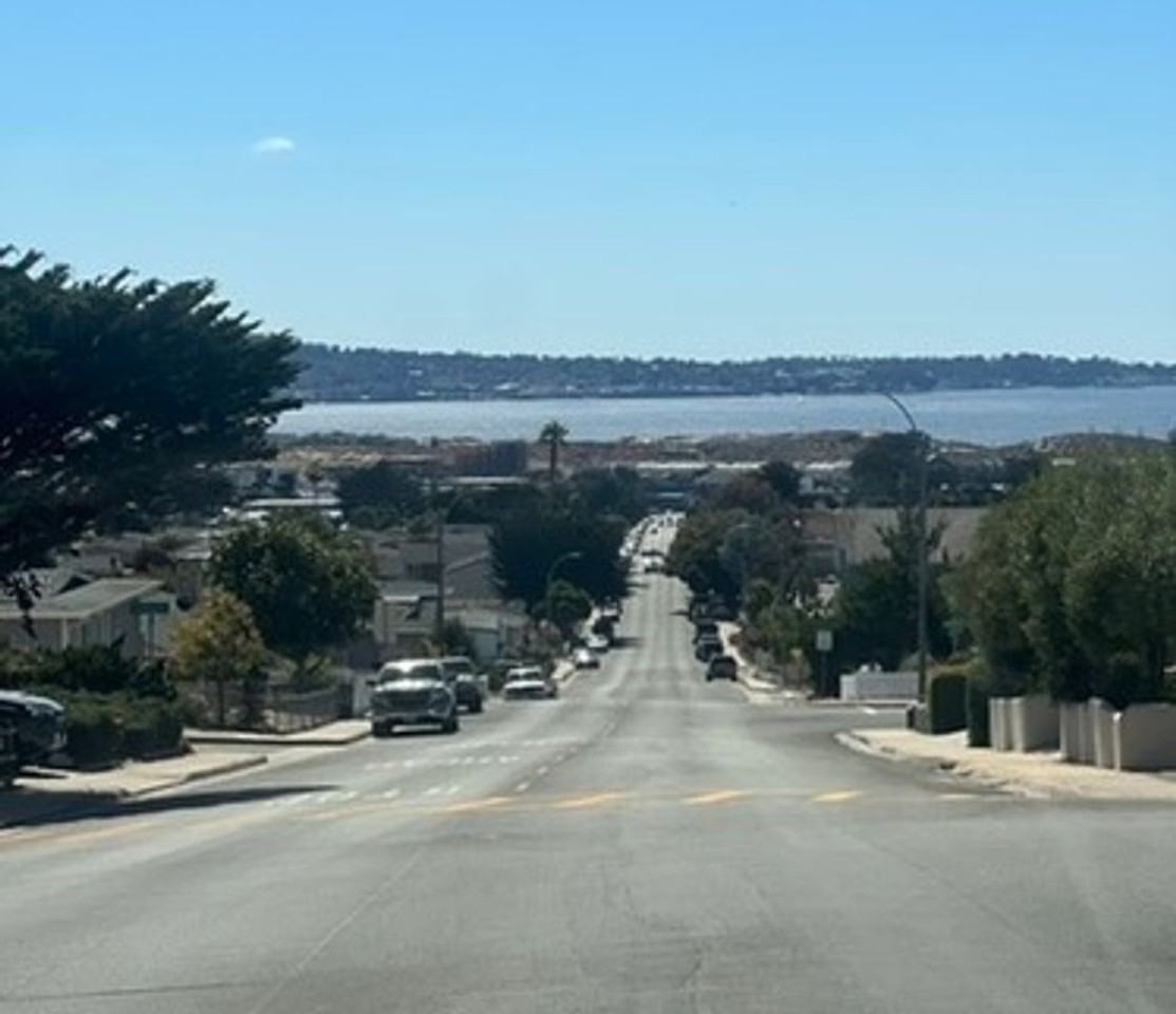 1946 Mariposa St - Photo 2 of 11