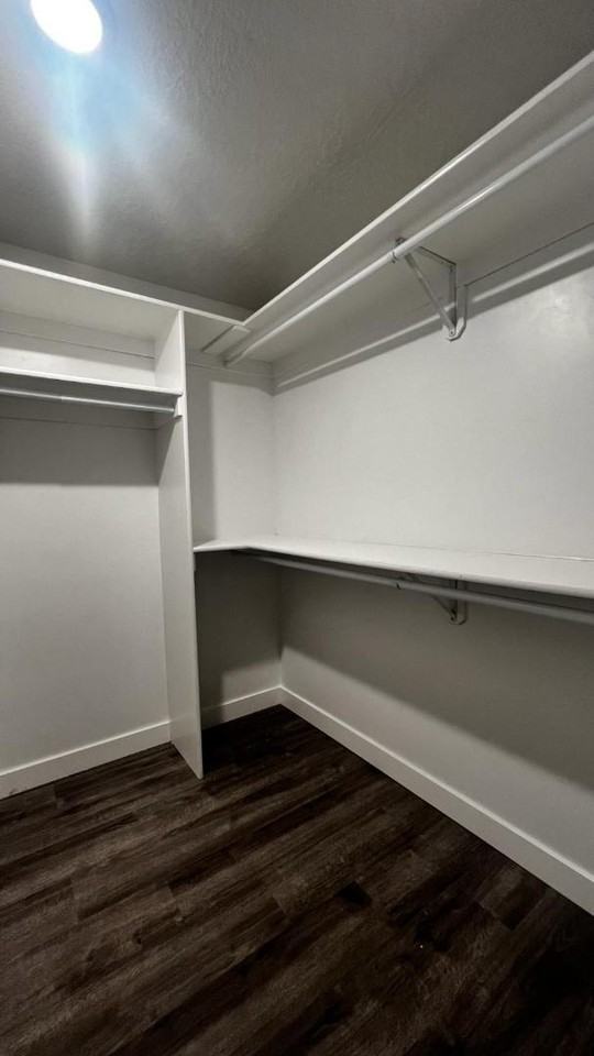 ARLINGTON POINTE APARTMENTS - Photo 6 of 10