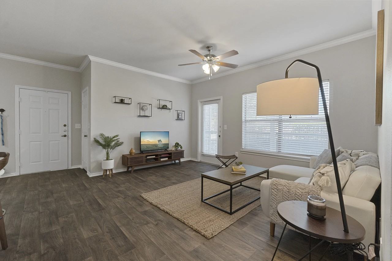 Canopy at South Lakes - Photo 5 of 11