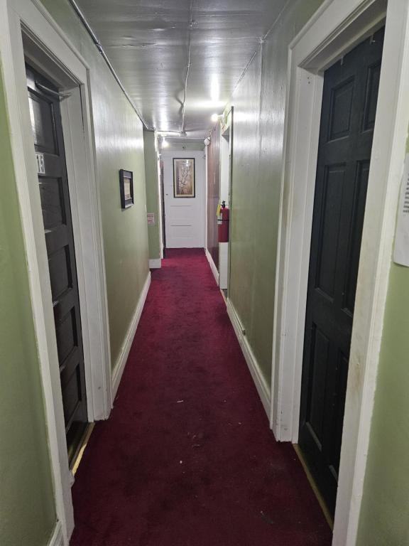 333 Elmwood Ave #12 - Photo 3 of 10