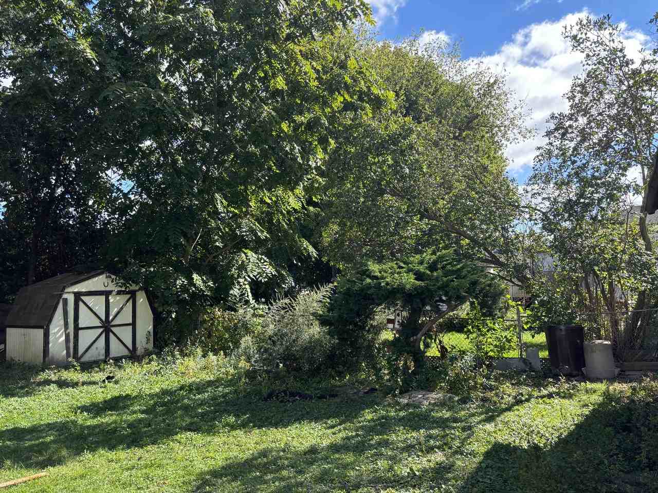 25 Tedder Street - Photo 3 of 20