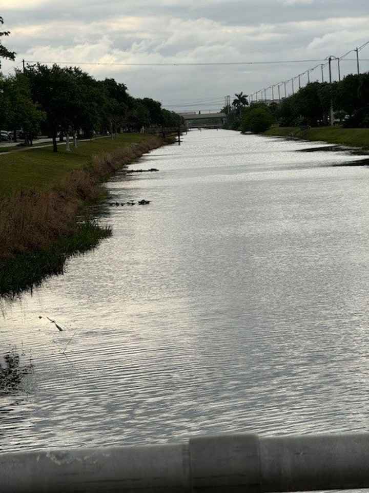 Davie Commons Apts LLC - Photo 3 of 50