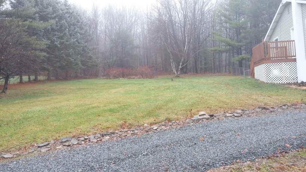 766 Chambers Rd - Photo 2 of 36