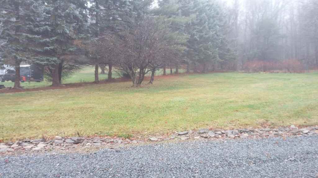 766 Chambers Rd - Photo 3 of 36