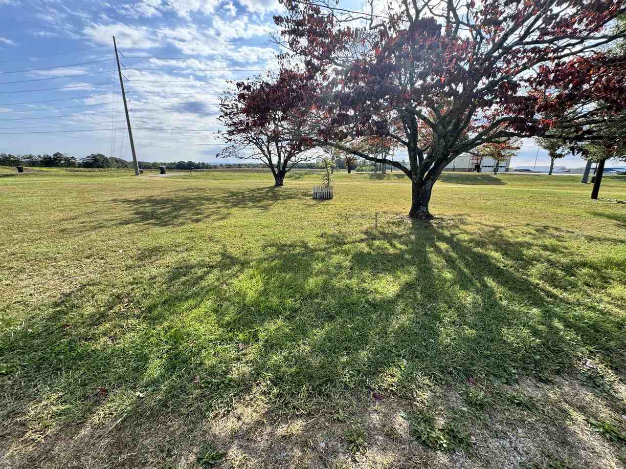 1315 Walker Ln - Photo 5 of 19