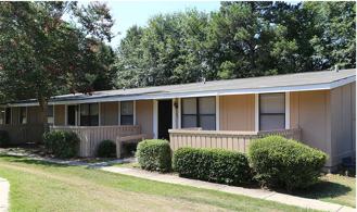 Wesley Pines - Photo 1 of 1