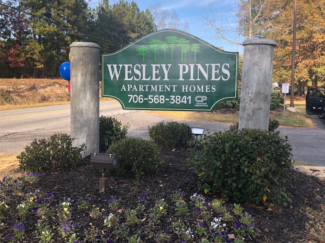 Wesley Pines - Photo 5 of 10