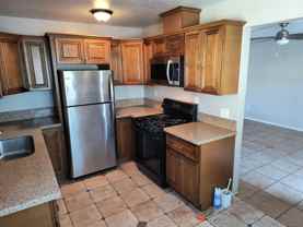 Cypress - Photo 1 of 1