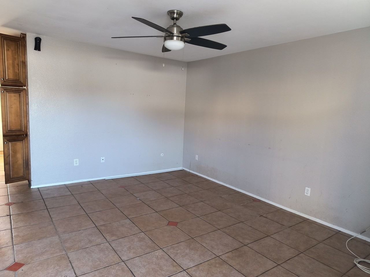 Cypress - Photo 6 of 14