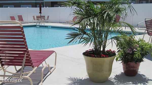 23033 Meadow Wood Ct - Photo 2 of 10