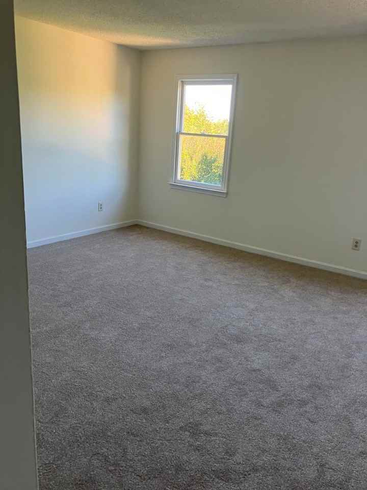 1113 Yellowbell Pl - Photo 5 of 8