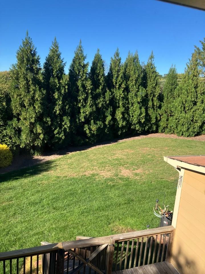 1113 Yellowbell Pl - Photo 7 of 8