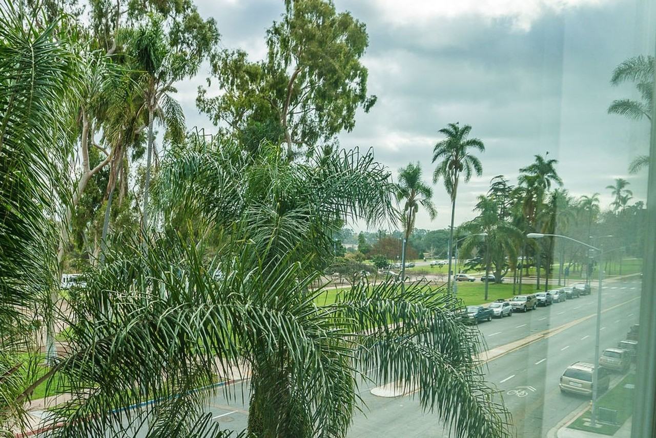 3100 6th Ave - Photo 2 of 23