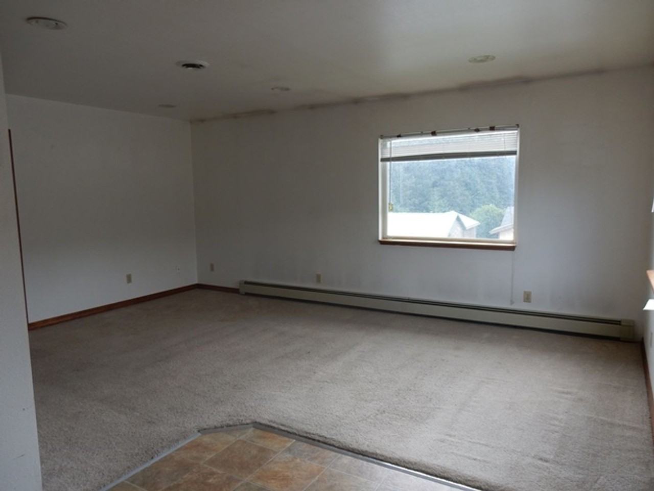 1514 Lynden Way - Photo 6 of 18