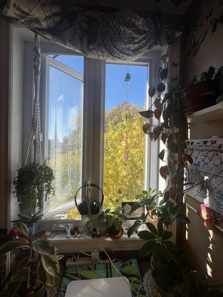 122 Percy Street 3, Ottawa, ON K1R 6C9 4 Bedroom Apartment for 750