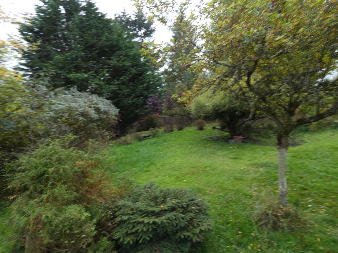 3322 Upland Ln - Photo 6 of 14