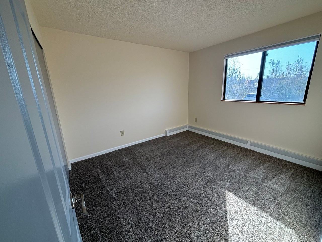 2501 Leonard St - Photo 7 of 14
