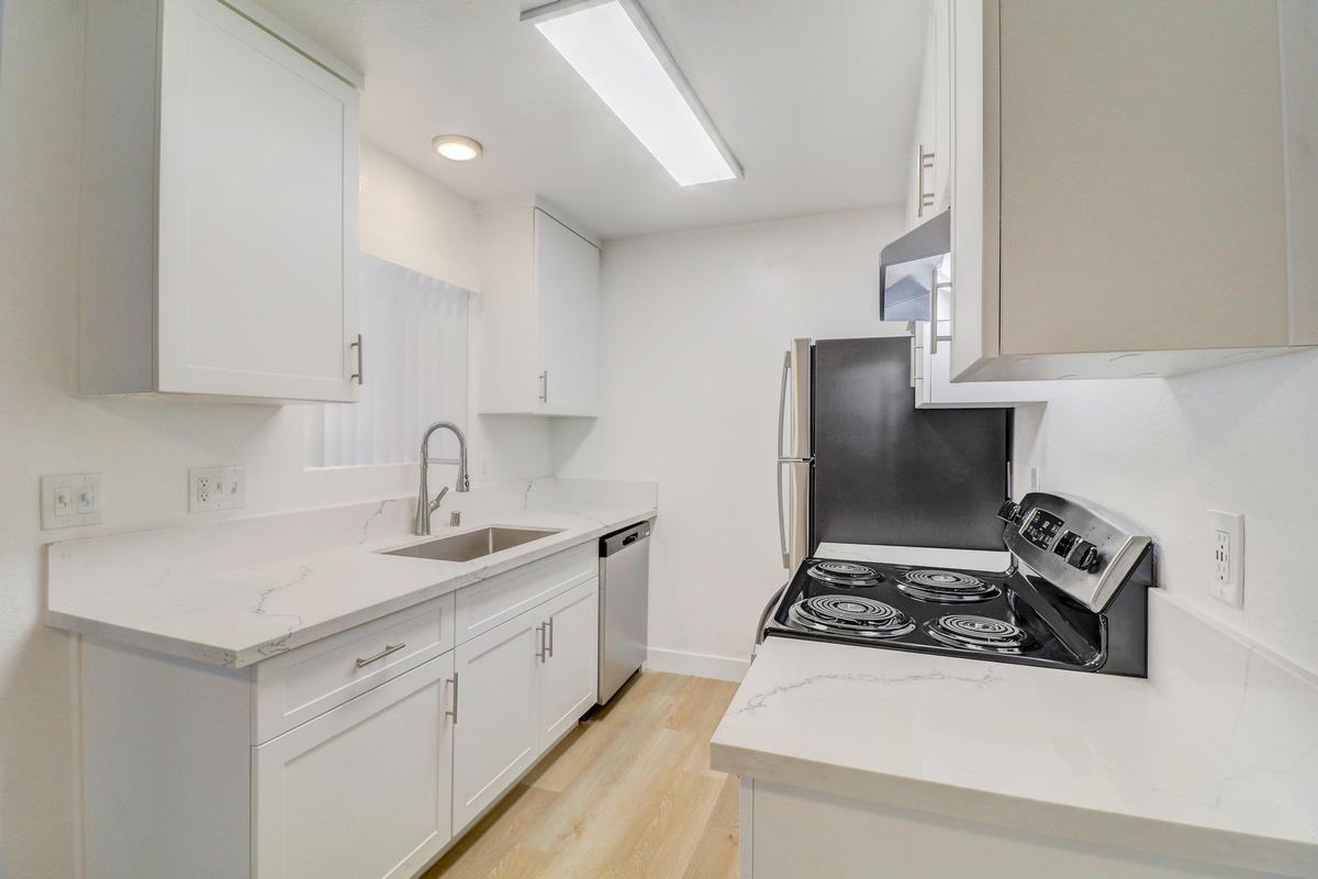 1624 Canyon Rd - Photo 4 of 32