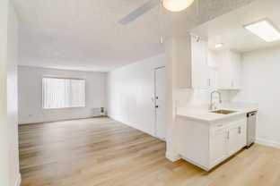 1624 Canyon Rd - Photo 1 of 1
