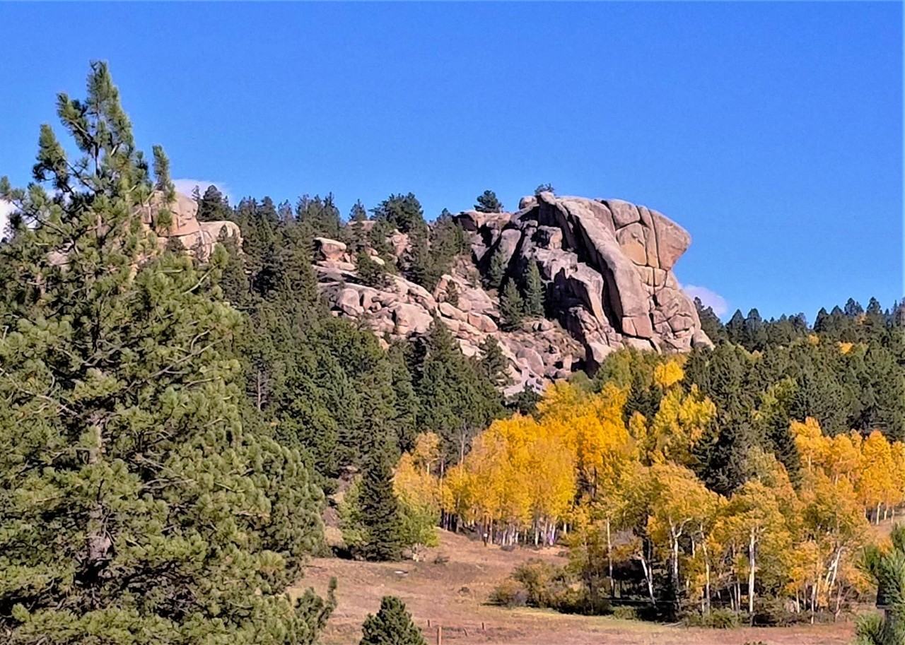 75 Pitchblende Rd - Photo 3 of 18