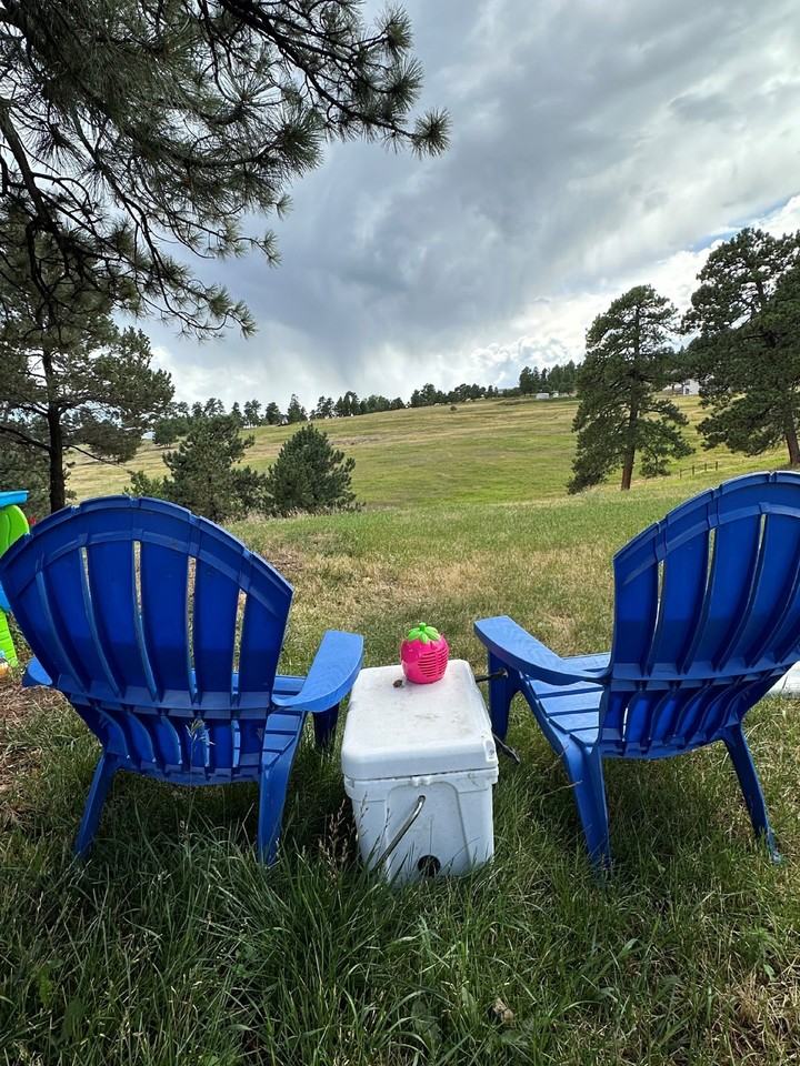 24688 Giant Gulch Rd - Photo 2 of 21