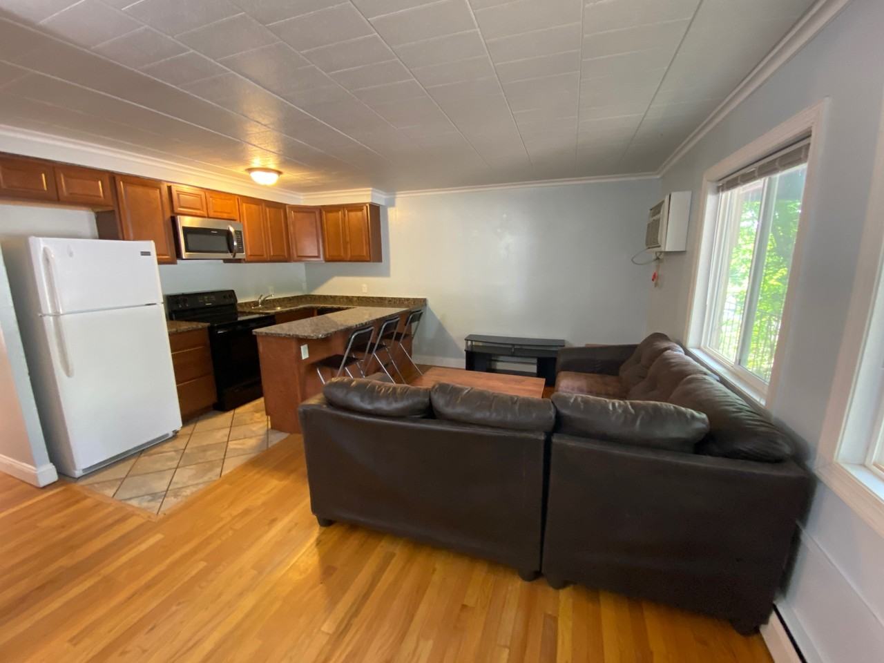 911 Oakland Avenue, Ann Arbor, MI 1, Ann Arbor, MI 48104 3 Bedroom