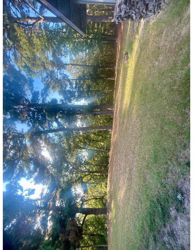 1849 Acr - Photo 3 of 9