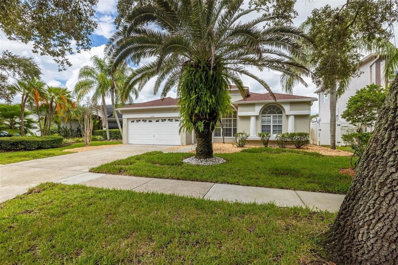 12705 Royal Ave, Keystone, FL 33556 3 bedroom House Rental