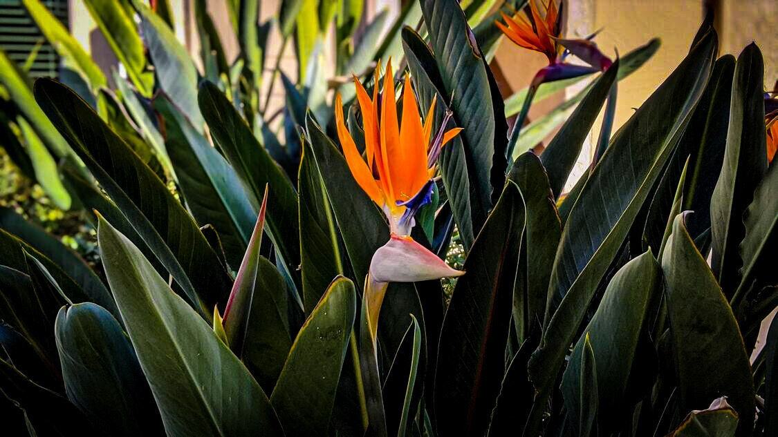 Temecula Gardens Apartments - Photo 3 of 17