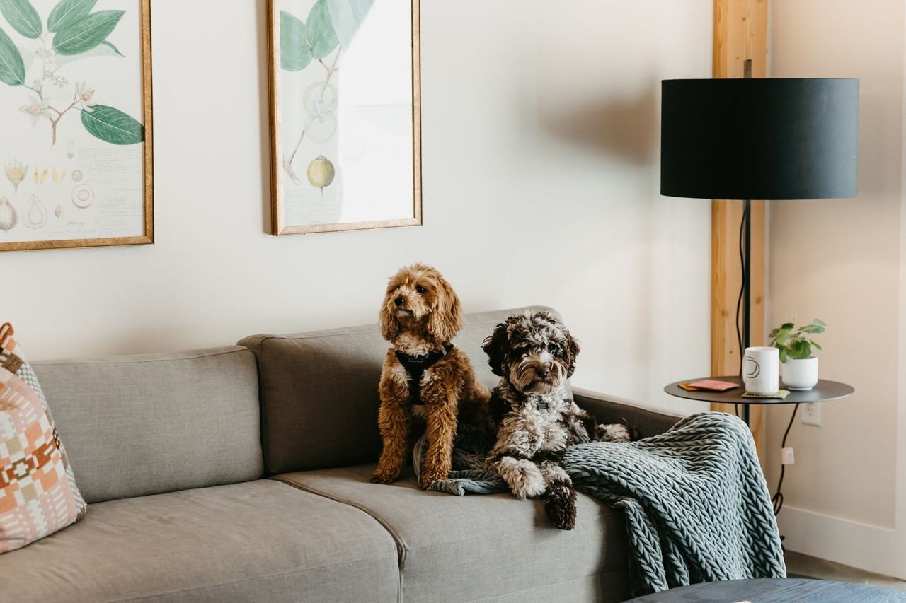 The Clark Lofts at Cherapa Place - Photo 5 of 27