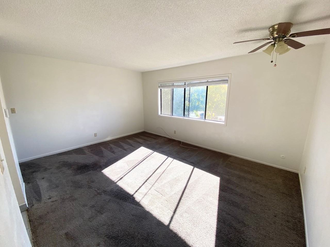 33951 Violet Lantern St #F - Photo 3 of 11