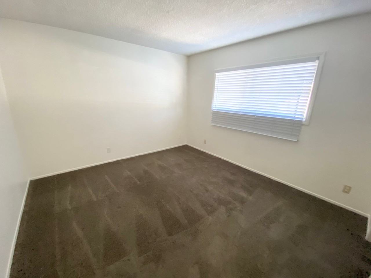 33951 Violet Lantern St #F - Photo 4 of 11