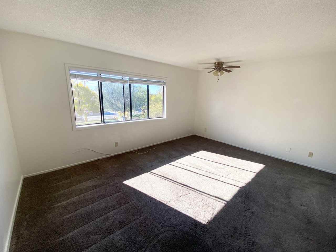 33951 Violet Lantern St #F - Photo 5 of 11
