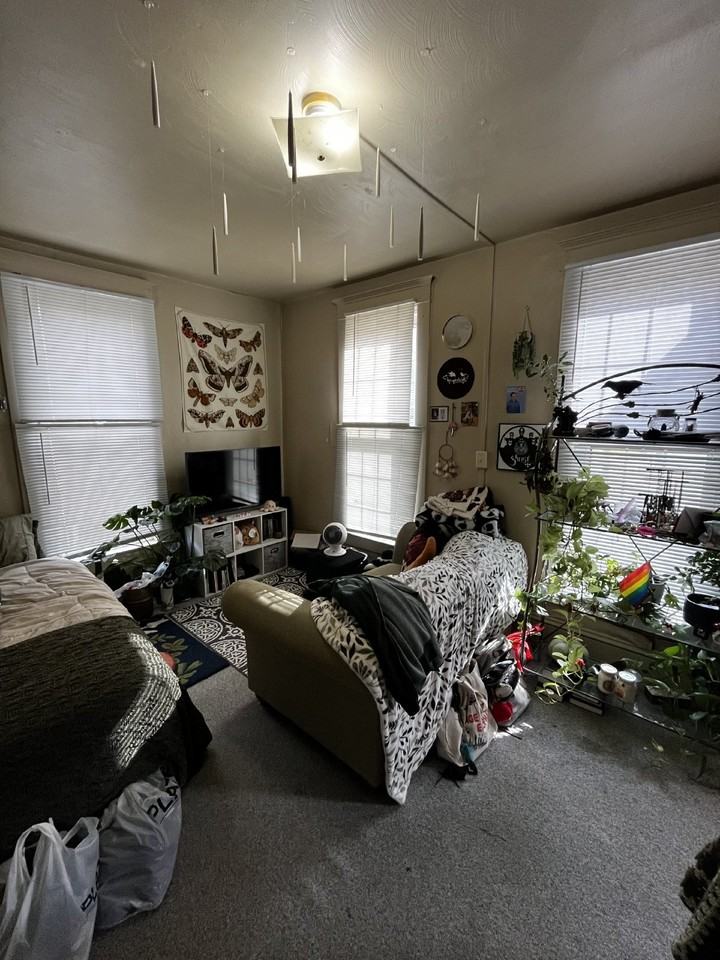 516 Hudson St - Photo 7 of 24