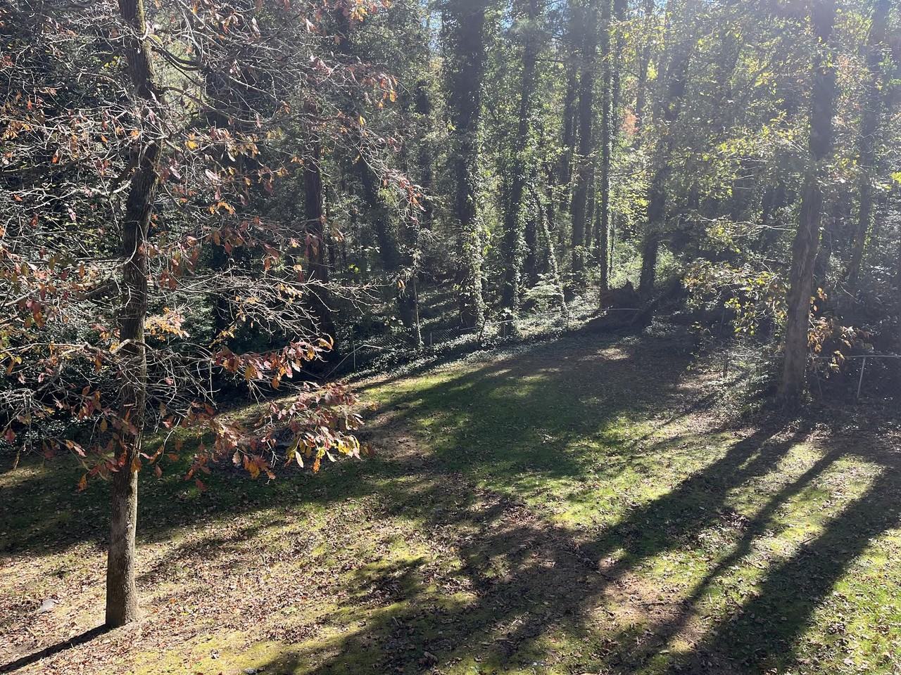 316 S Rugby Rd - Photo 2 of 22