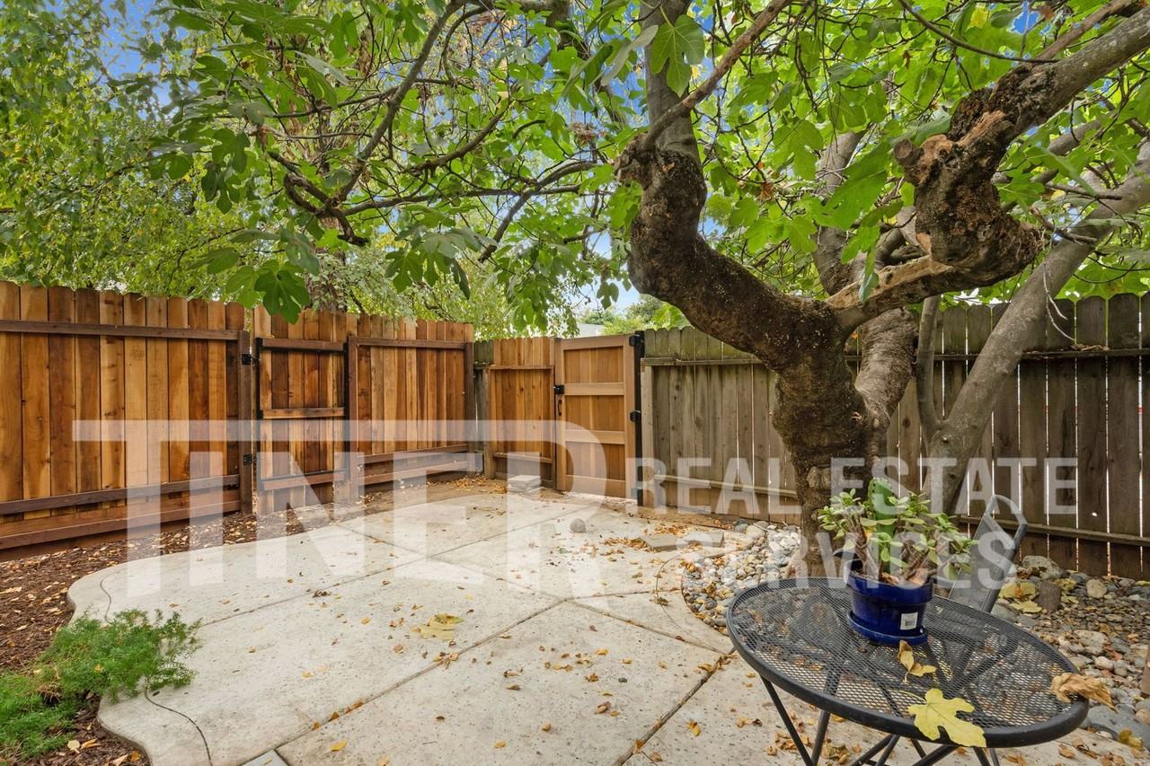 1609 Alligator Aly - Photo 3 of 16