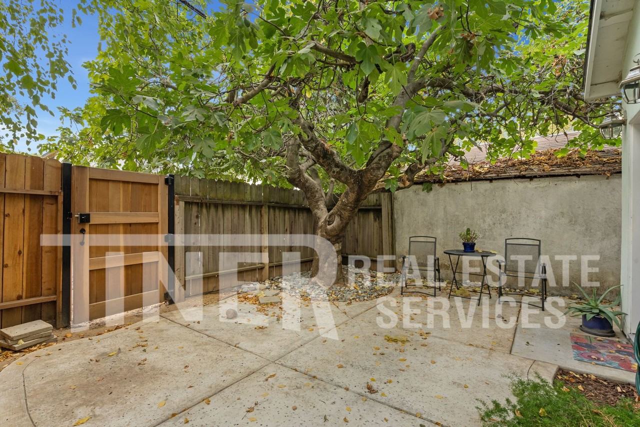 1609 Alligator Aly - Photo 6 of 16