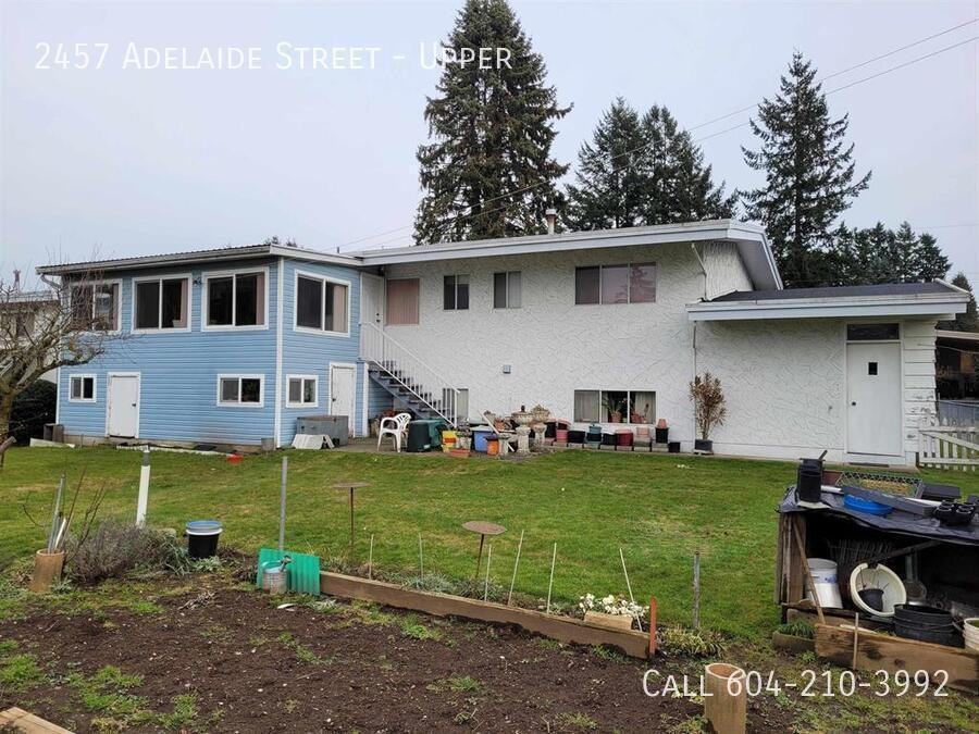 2457 Adelaide St - Photo 2 of 12