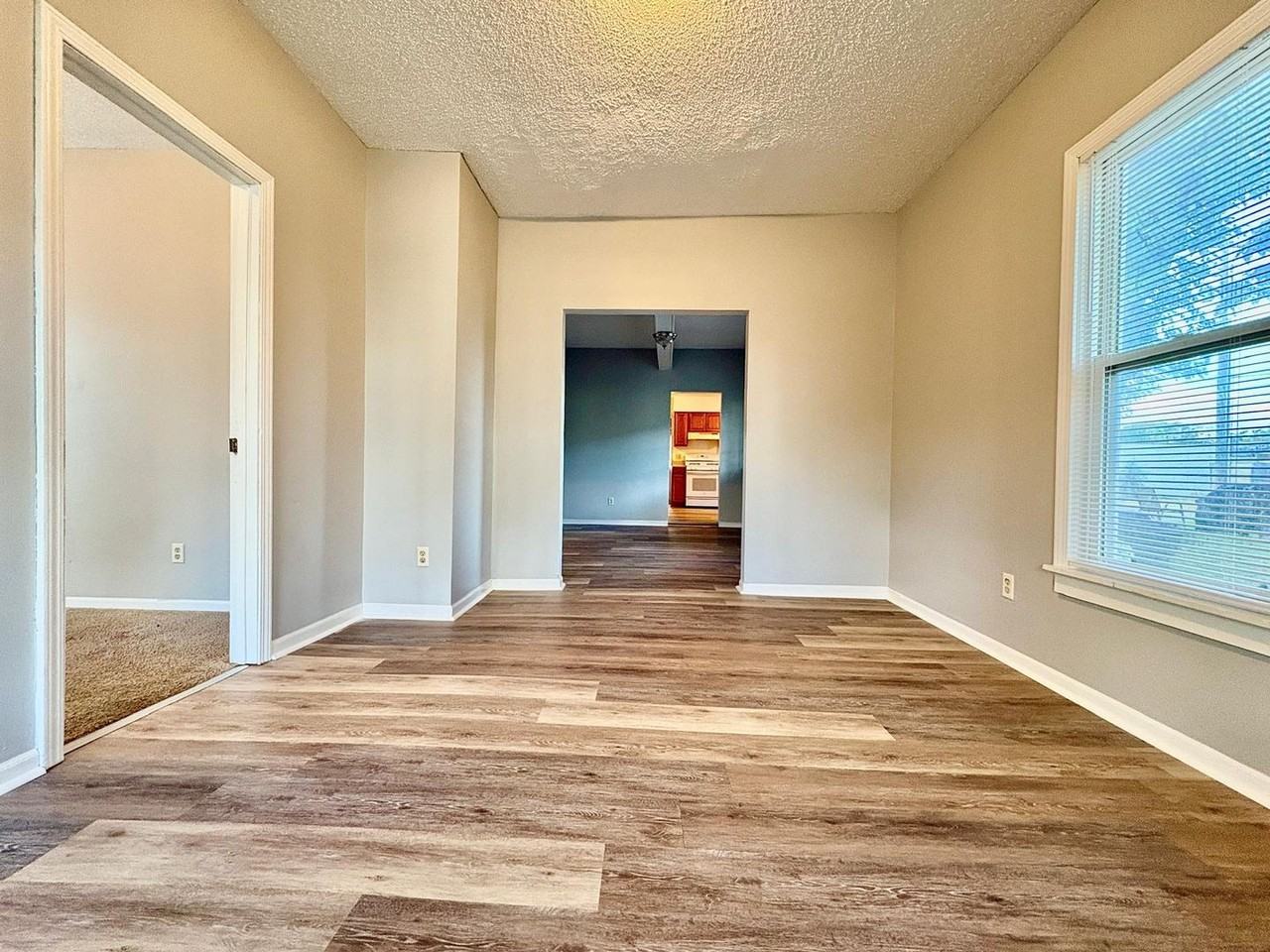 919 S Logan St - Photo 5 of 18