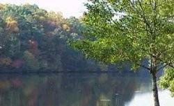 1501 Harbor Landing - Photo 2 of 12