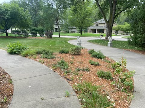 254 Firethorn Trl - Photo 3 of 17