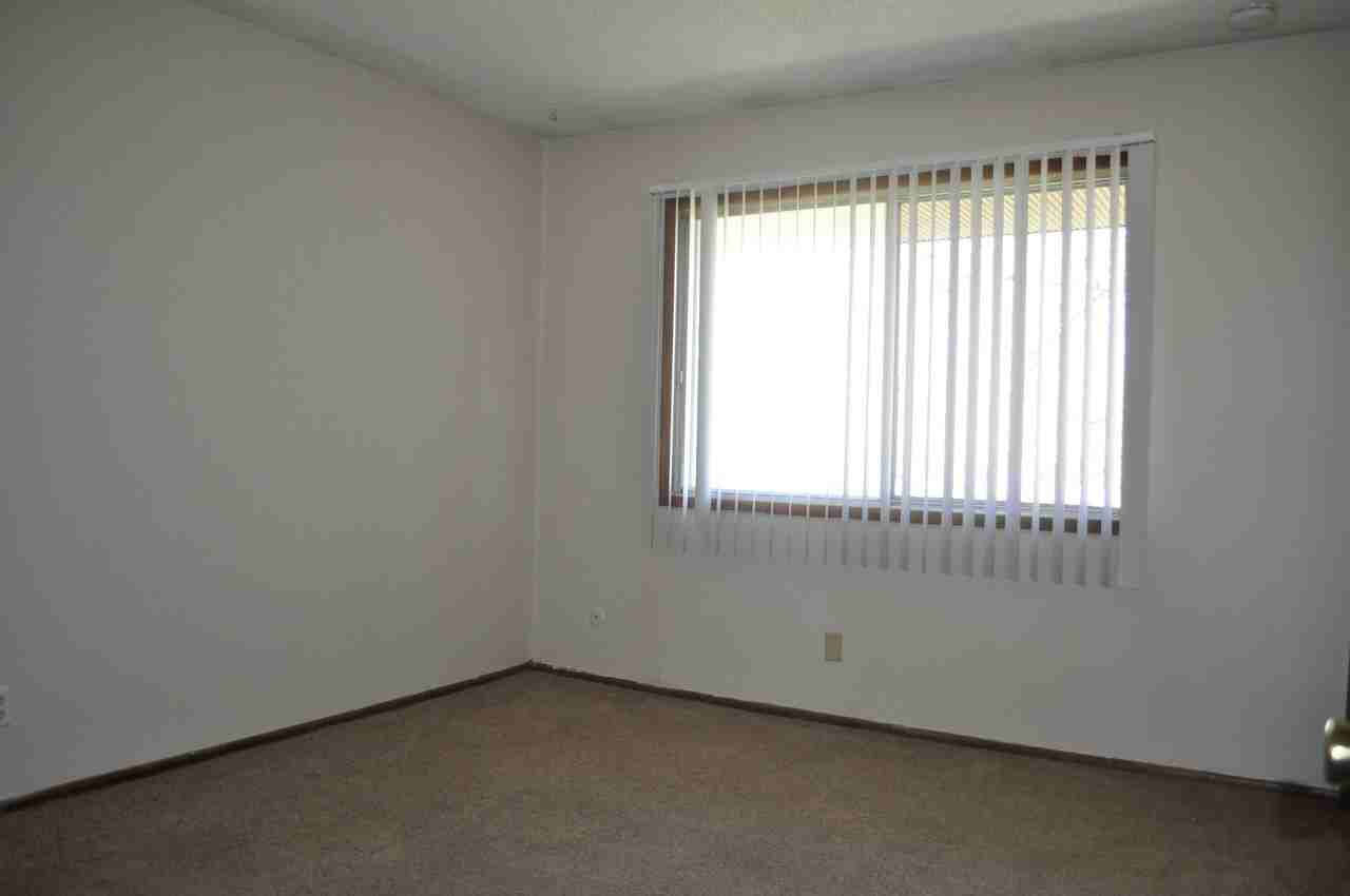 1000 Terrace - Photo 7 of 15